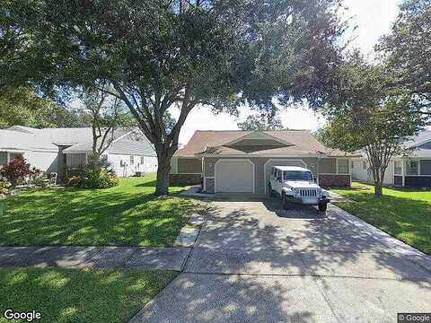 Petrea, PALM HARBOR, FL 34684