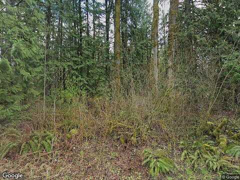 Jansky Rd E, Graham, WA 98360