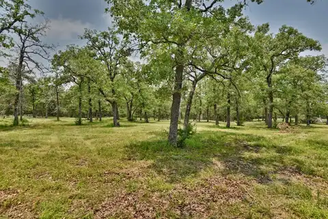 Wildwood, LEDBETTER, TX 78946