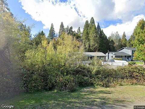 Willow, WEAVERVILLE, CA 96093