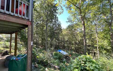 Sky Hawk Mountain, HIAWASSEE, GA 30546