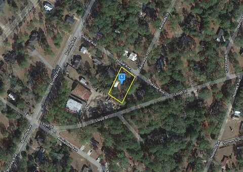 Jessie, REIDSVILLE, GA 30453