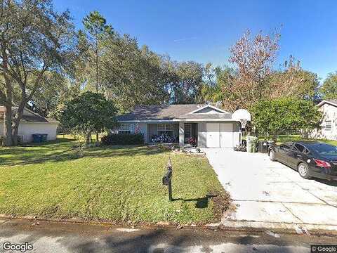 Meadow, SAN ANTONIO, FL 33576