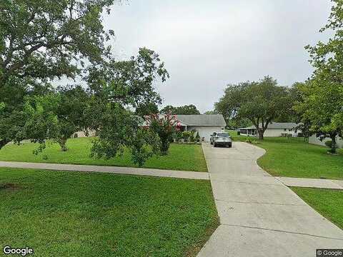 Wedgefield, GRAND ISLAND, FL 32735