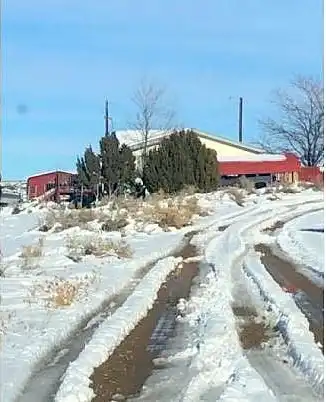 Cactus, WALSENBURG, CO 81089