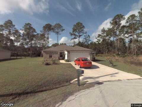 Zorro, PALM COAST, FL 32164