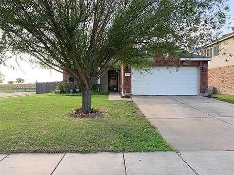 Gardenia, FORNEY, TX 75126