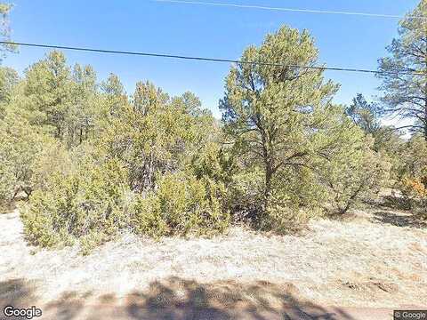 Woods Dr # S, OVERGAARD, AZ 85933