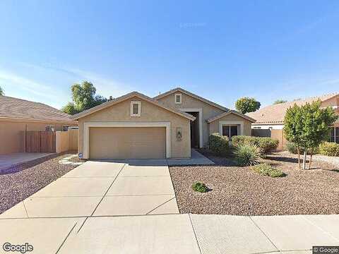 Camellia, CHANDLER, AZ 85286