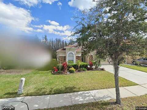 Waterville, WESLEY CHAPEL, FL 33543