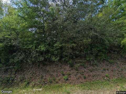 Wilkerson Bluff, HOLT, FL 32564