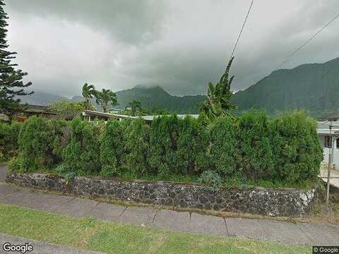 Apapane, KANEOHE, HI 96744