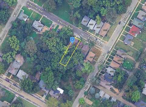 Albertine, SAINT LOUIS, MO 63136