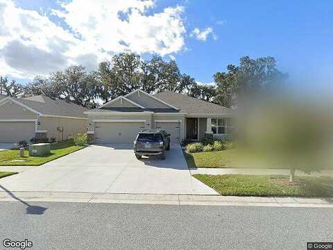 Doe Path, WESLEY CHAPEL, FL 33545