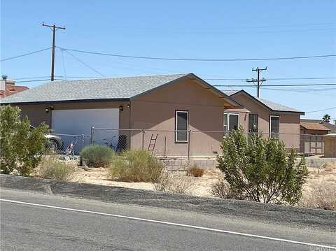 Lupine, TWENTYNINE PALMS, CA 92277