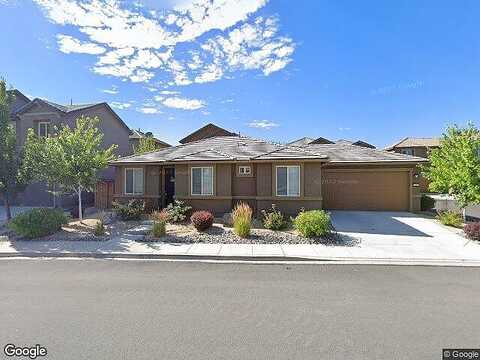 Russian Thistle, SPARKS, NV 89436