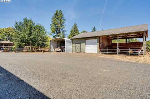 Pheasant, PLEASANT HILL, OR 97455