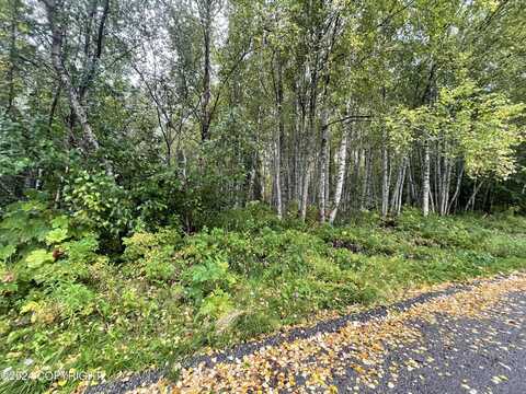 L5 Marlene Avenue, Kenai, AK 99635