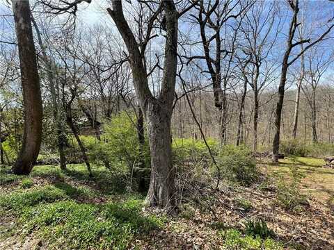 Gore LN, Bella Vista, AR 72715