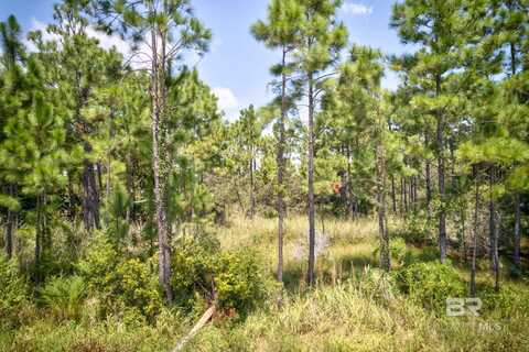 00 Lakeshore Drive, Gulf Shores, AL 36542