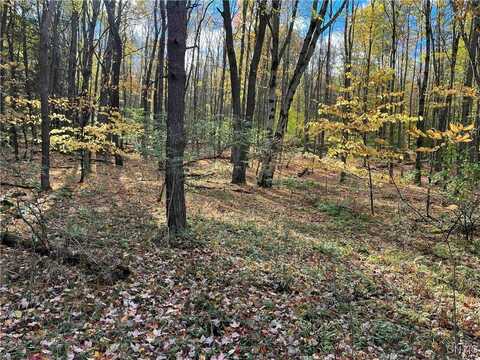 00 Wolf Creek Road, Clarksville, NY 14727