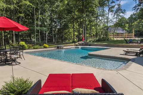 761 Amicks Ferry Road, Chapin, SC 29036