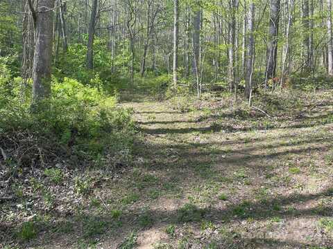 0 Martins Creek Road, Barnardsville, NC 28709