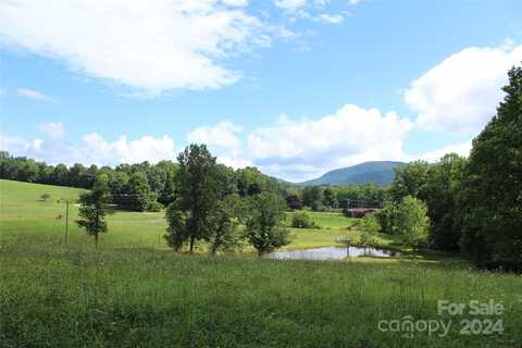 000 Sugarloaf Mountain Road, Hendersonville, NC 28792