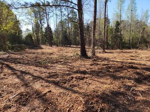 LOT 442 WINDING WAY BLVD, Georgetown, GA 39854