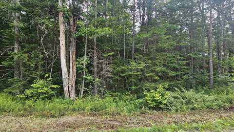 M14 L271 Lincoln Drive, Washington, NH 03280