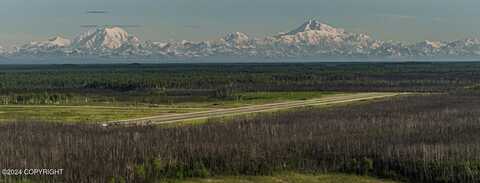 L1 B4 N Sideslip Drive, Willow, AK 99688