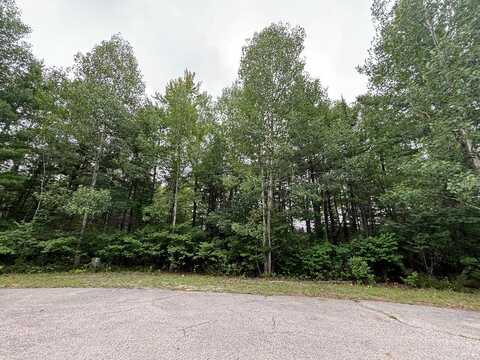 Lot 216 Pineview Court, Presque Isle, MI 49777