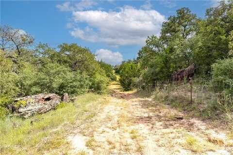 13acres Tbd County Road 331, Milano, TX 76556