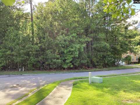 114 Copperhill Lane, Columbia, SC 29229