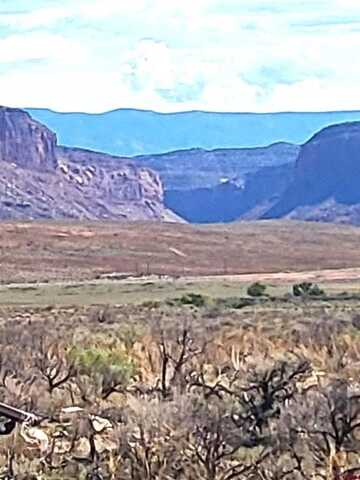 Unassigned Highway 90, Bedrock, CO 81411