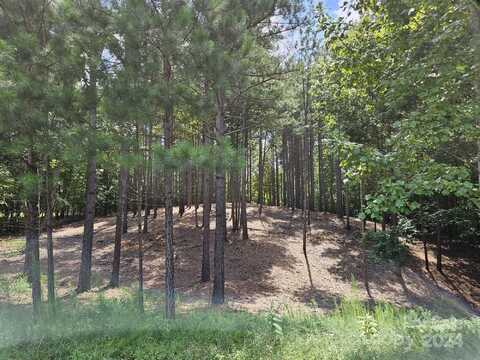 133 Oak Point Lane, Stony Point, NC 28678