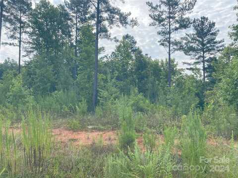 6249 Sanders Landing Lane, Clover, SC 29710