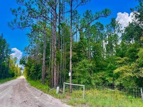 65th St, Bell, FL 32619