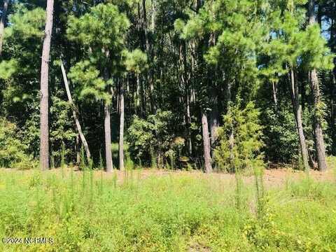 637 Sandy Ridge Road, Tyner, NC 27980