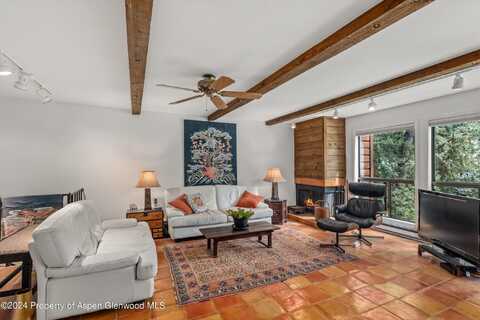 824 E Hopkins Avenue, Aspen, CO 81611