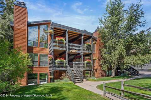 824 E Hopkins Avenue, Aspen, CO 81611