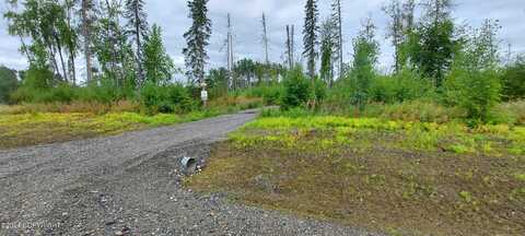 31318 S Salmon Ally Street, Talkeetna, AK 99676