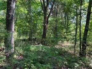 5.49 Acres on Meadow Creek DR, Harrison, AR 72601