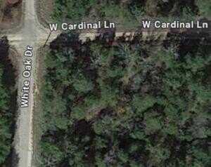 0 Cardinal & White Oak, Diamond City, AR 72644