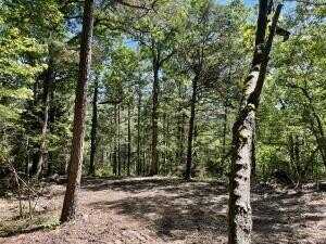 Tract 7 Terrapin RD, Harrison, AR 72601