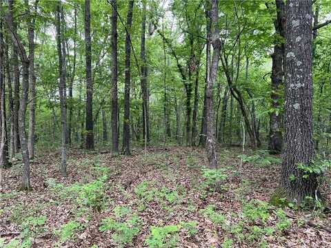 12 Acres on Meadow Creek DR, Harrison, AR 72601