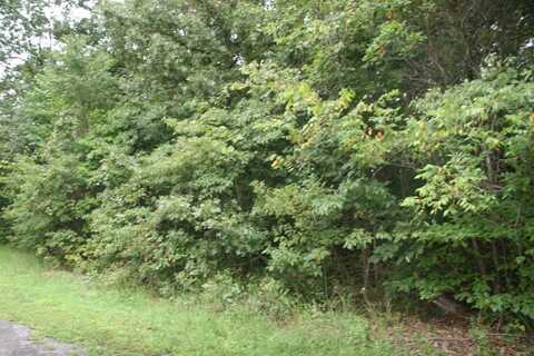 13 Lela - Lot 13 CT, Harrison, AR 72601