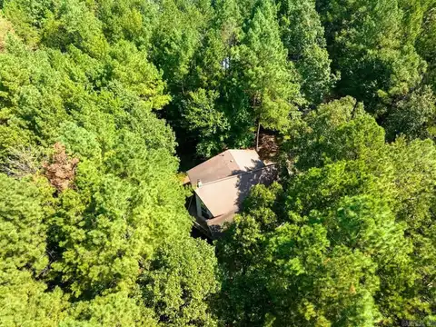 65 Woodland Springs Drive, Mount Ida, AR 71957