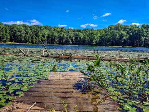 NHN Half Moon Lake, Harrison, MI 48625