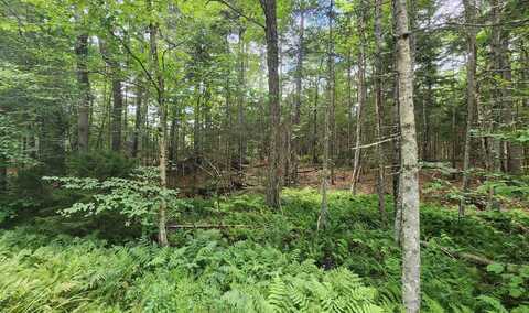 Map 14 Lot 324 Adams Drive, Washington, NH 03280